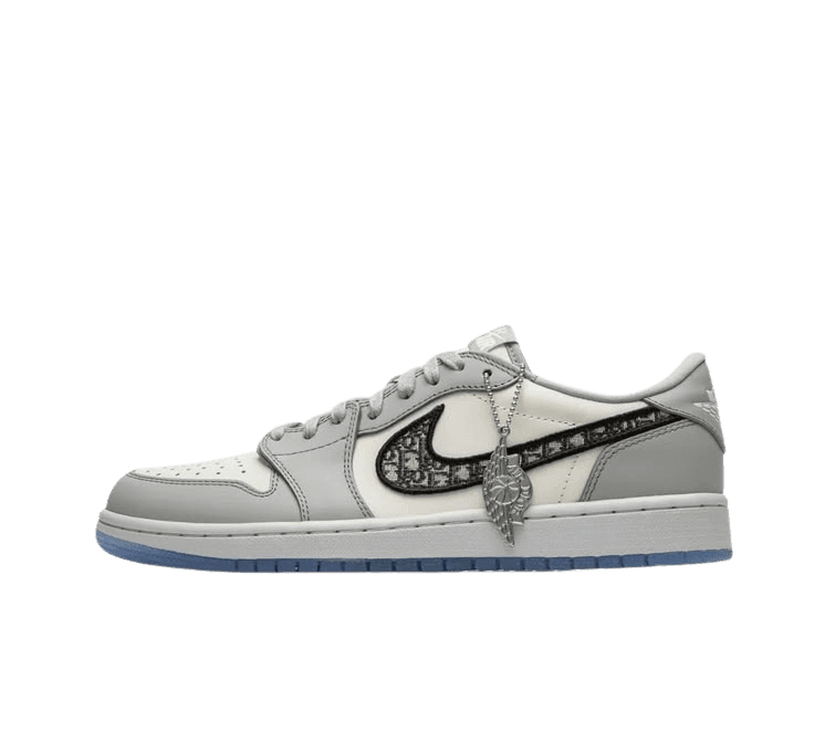 Low Jordan Dior